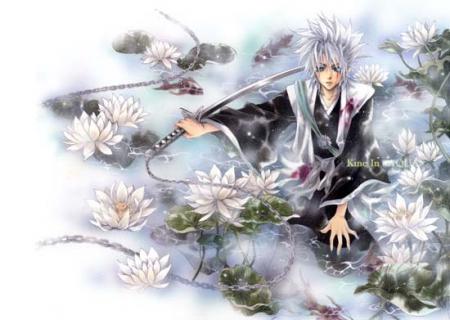 hitsugaya toshiro